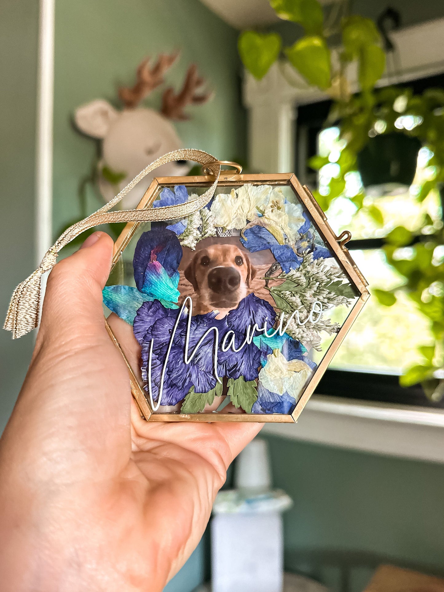 Pet Mini Frame / Ornament