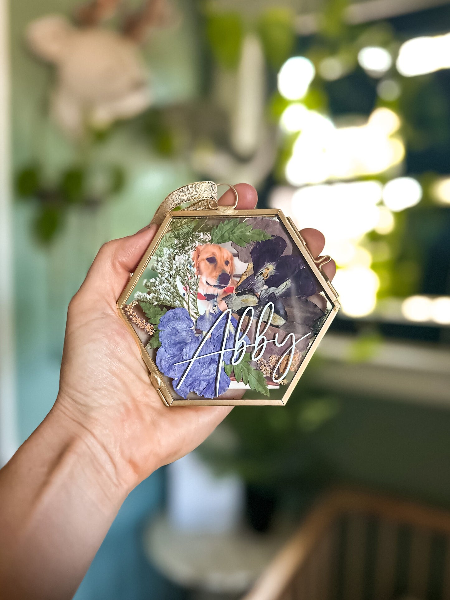 Pet Mini Frame / Ornament