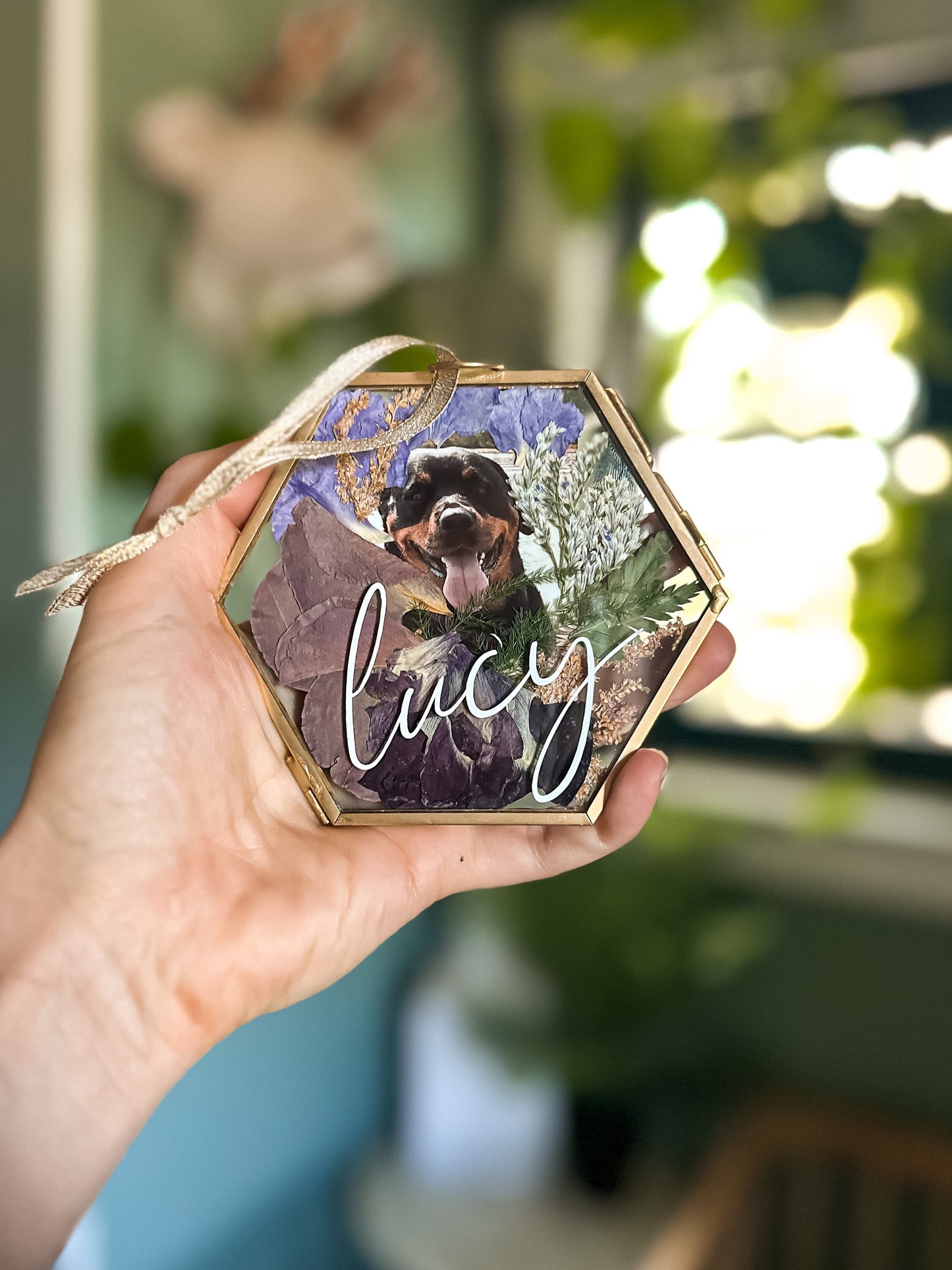 Pet Mini Frame / Ornament
