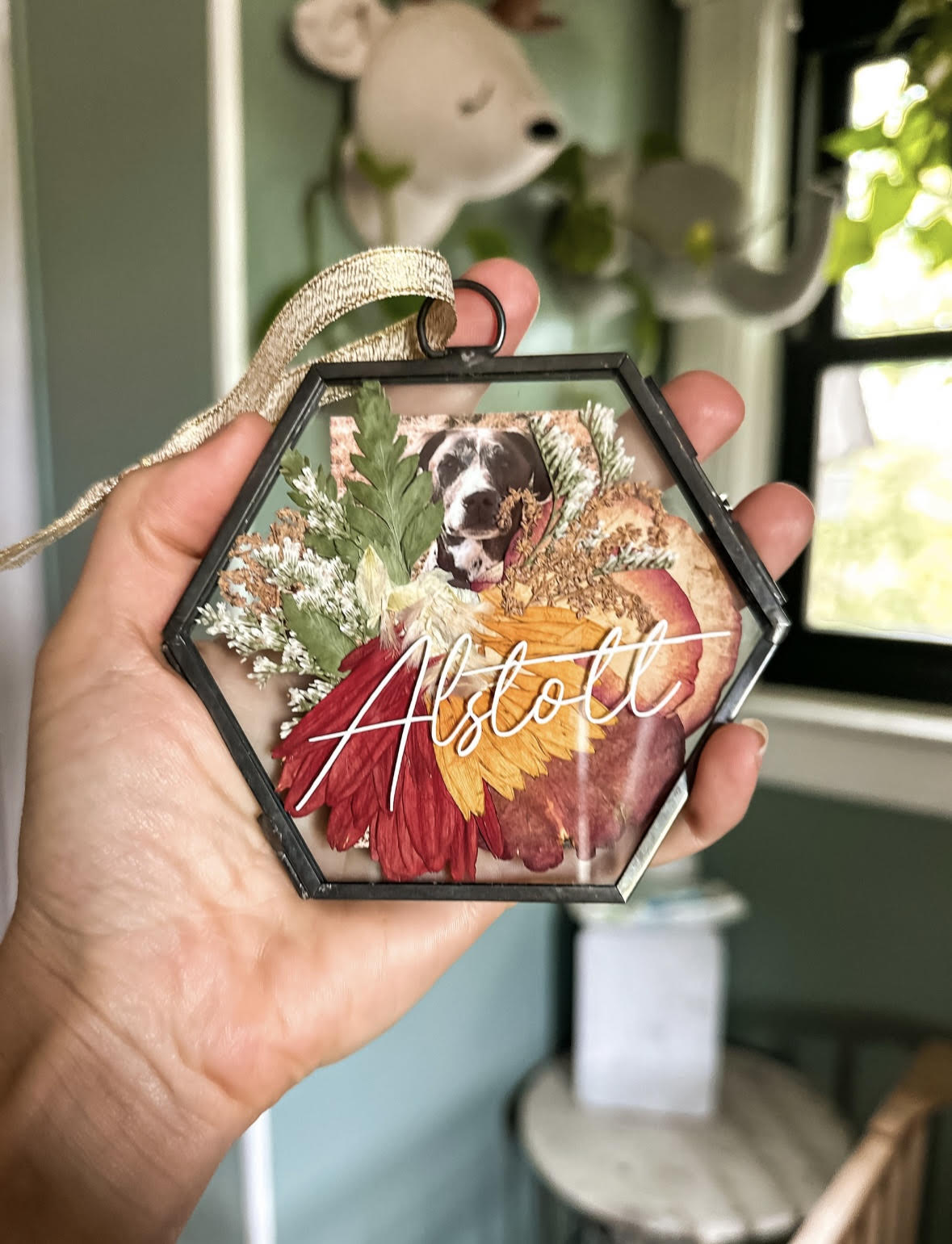 Pet Mini Frame / Ornament